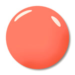 MY ORANGE