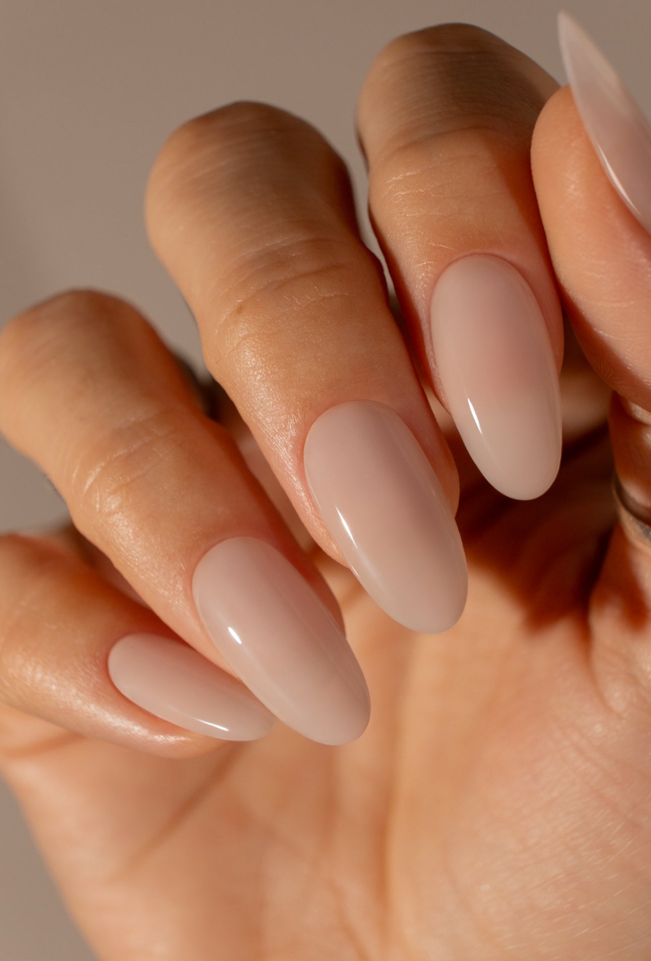 SEASHELL - SHEER 'Hema-Free'