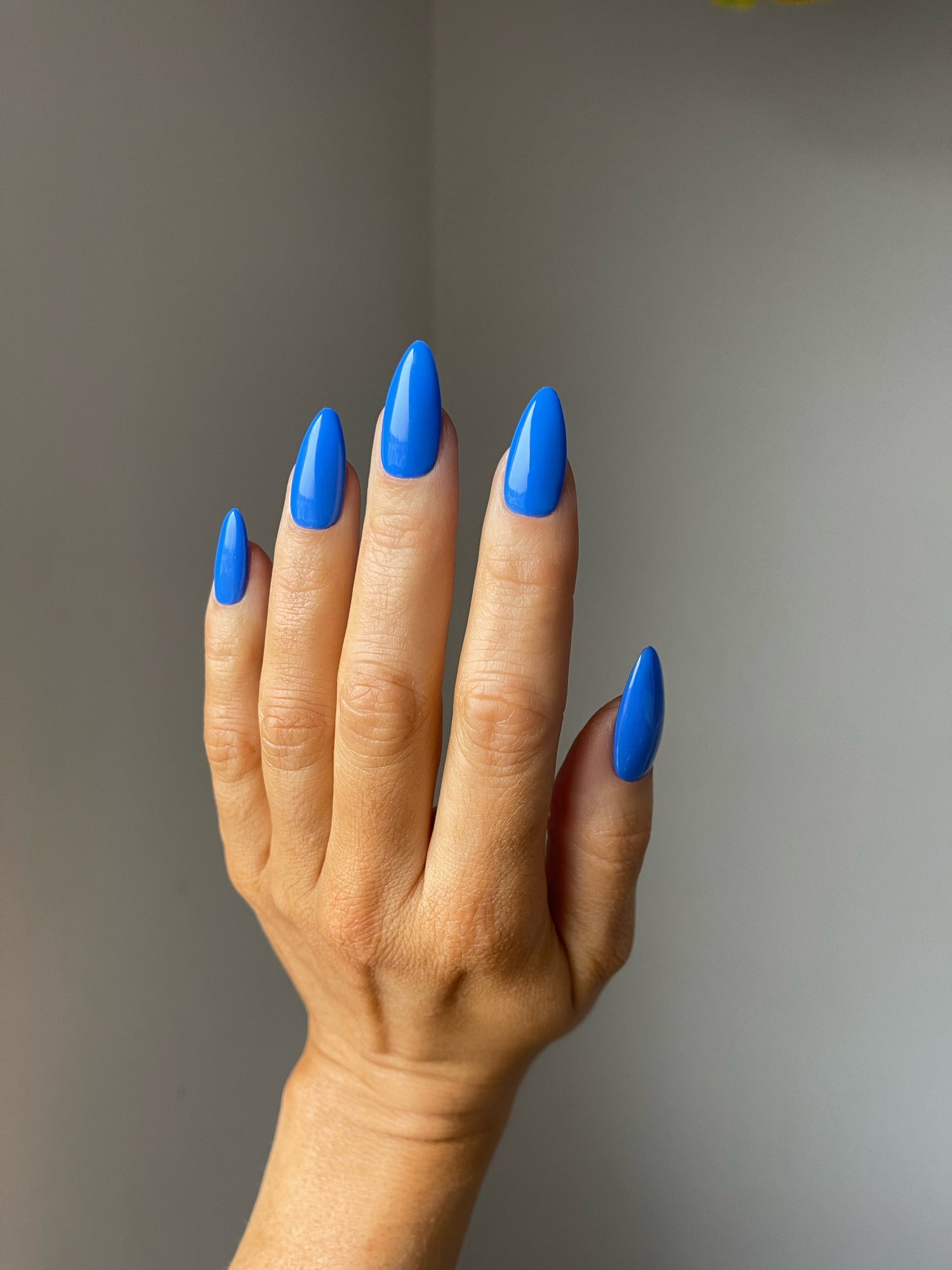 BLUE ANGEL