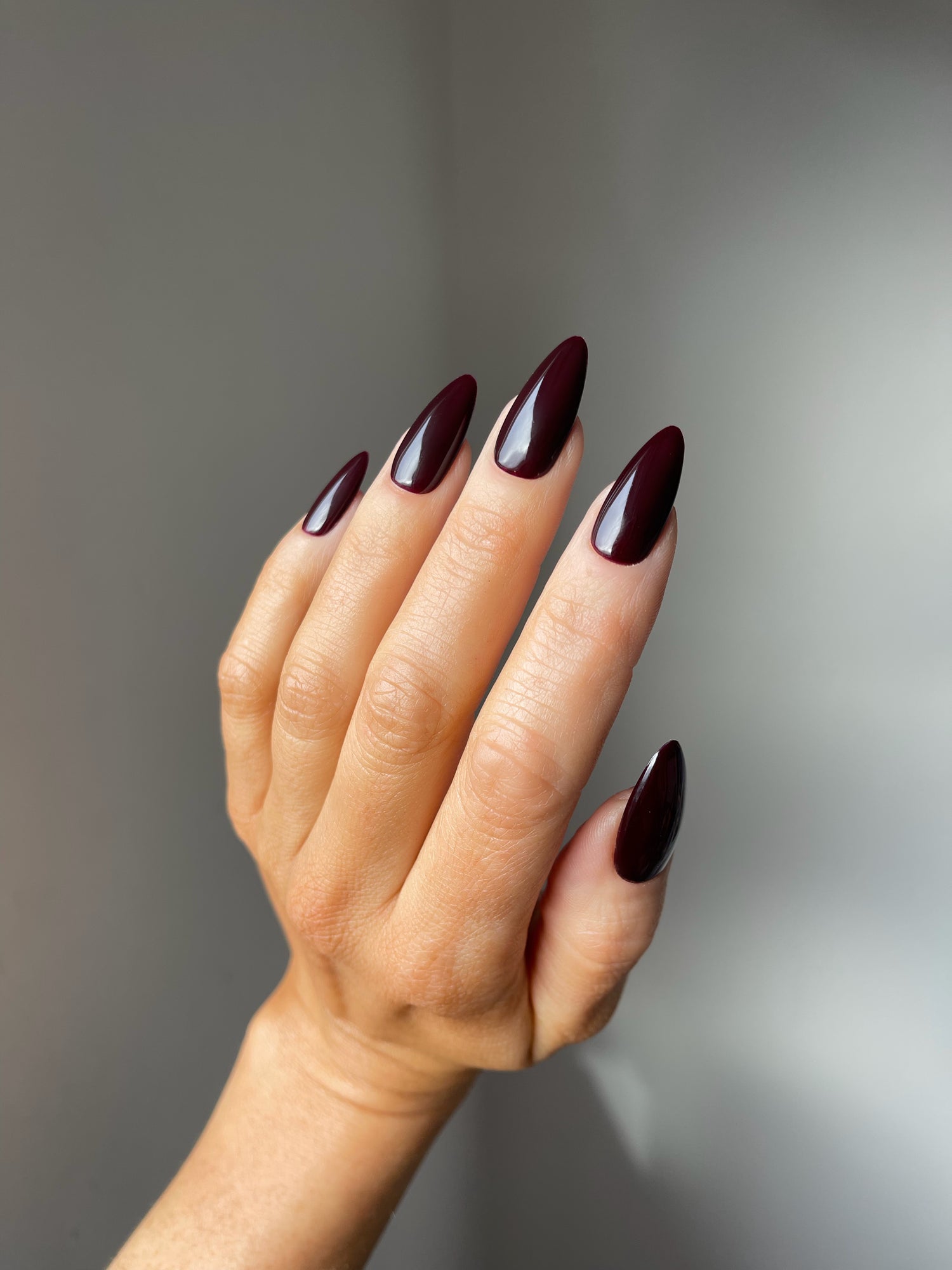 BLACK CHERRY 'Hema-Free'