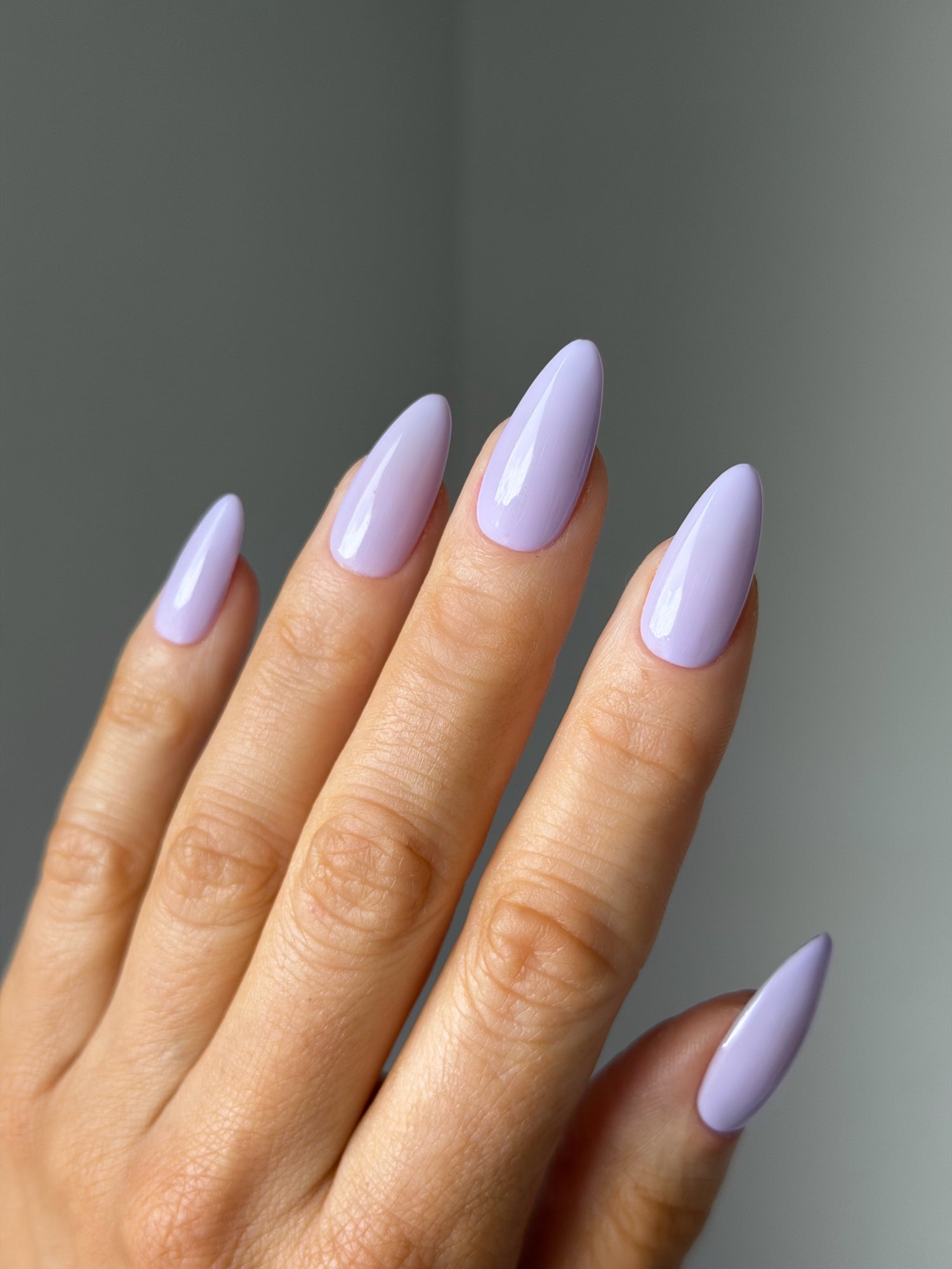 HELIOTROPE (RIVIERA 005)